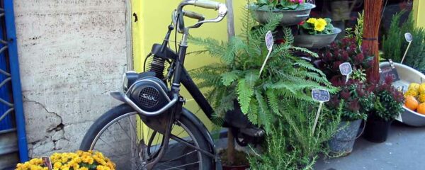 Solex