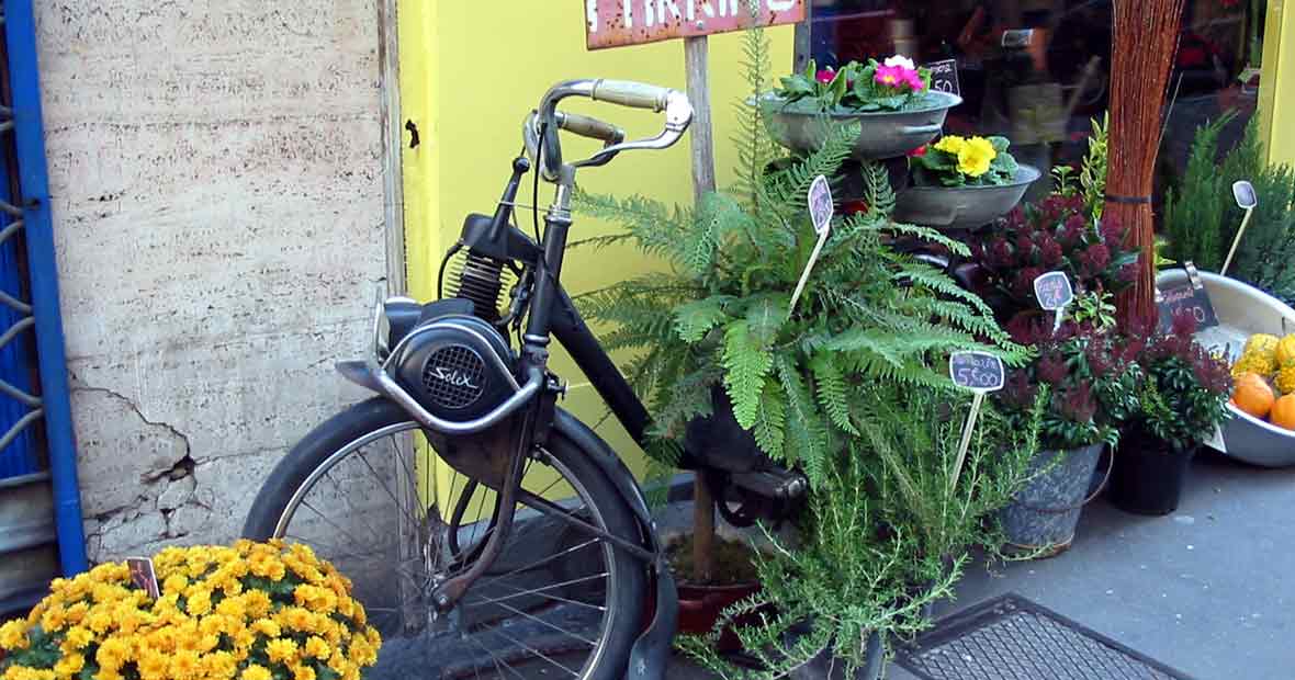 Solex